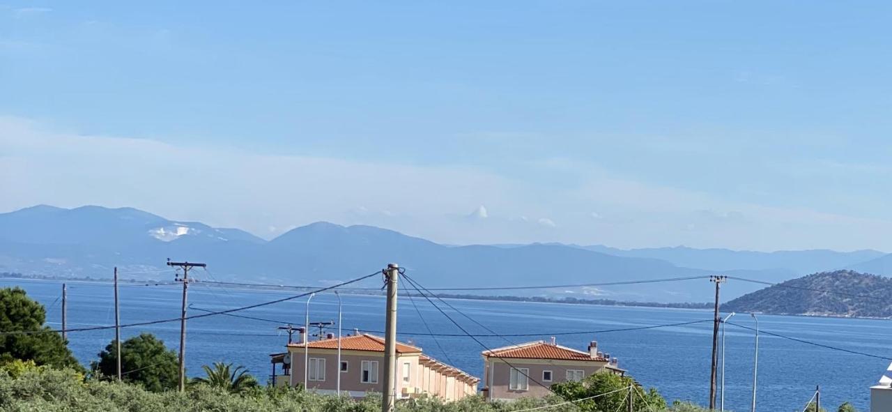 Luminous Luxury Apartments Thassos Exteriör bild